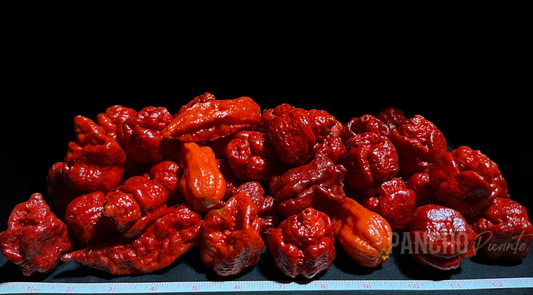 Carolina Reapers & Fatalii