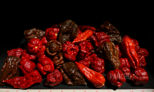 Carolina Reapers, Red Fatalii & Chocolate Carolina Reapers